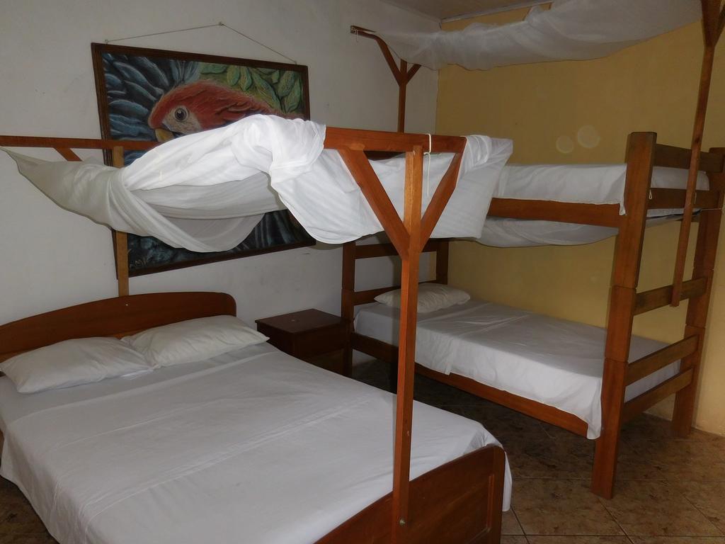 Tambopata Hostel Puerto Maldonado Exterior foto